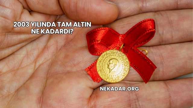 2003 Yılında Tam Altın Ne Kadardı?