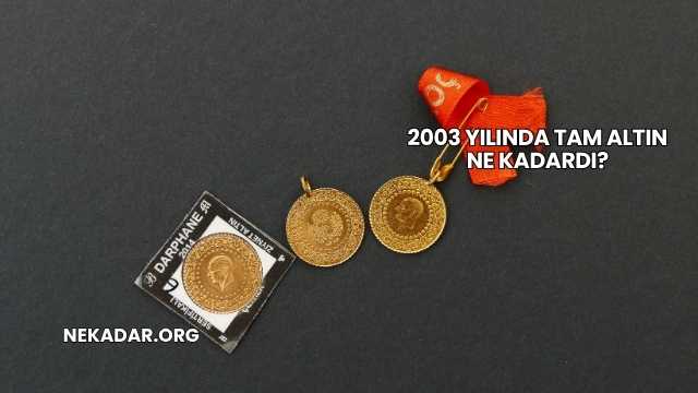 2003 Yılında Tam Altın Ne Kadardı?